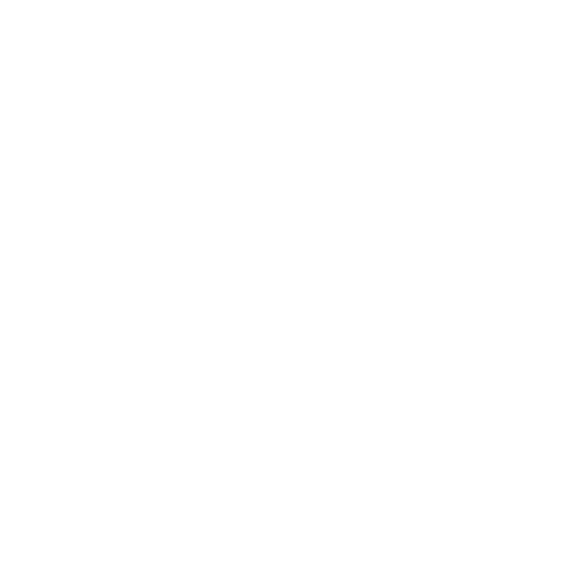 Custom Software Development